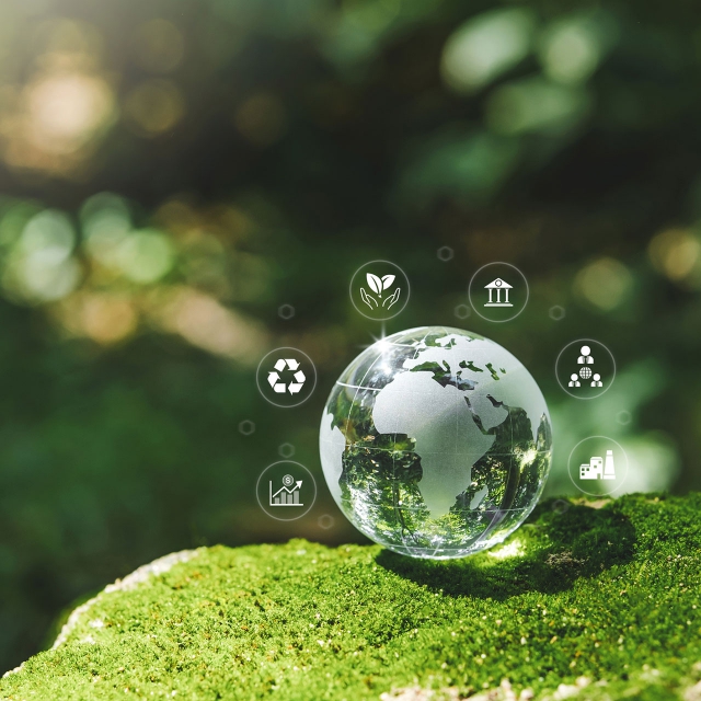 Carbon, Energy & ESG Advisory