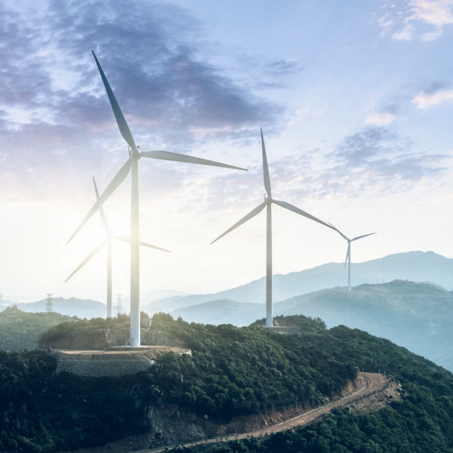 Project Development & Investment