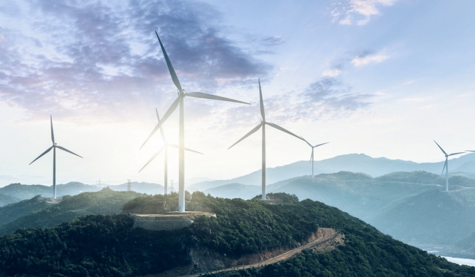 Project Development & Investment